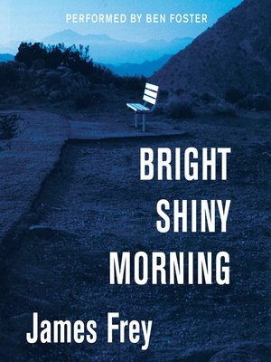 cover image of Bright Shiny Morning
